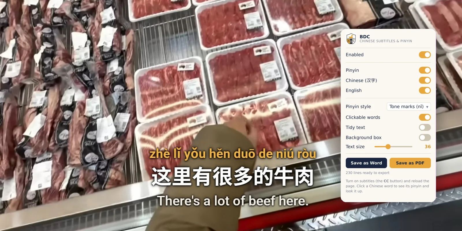 Chinese supermarket video with pinyin, characters and English subtitles, next to the BDC Chinese Subtitles control panel