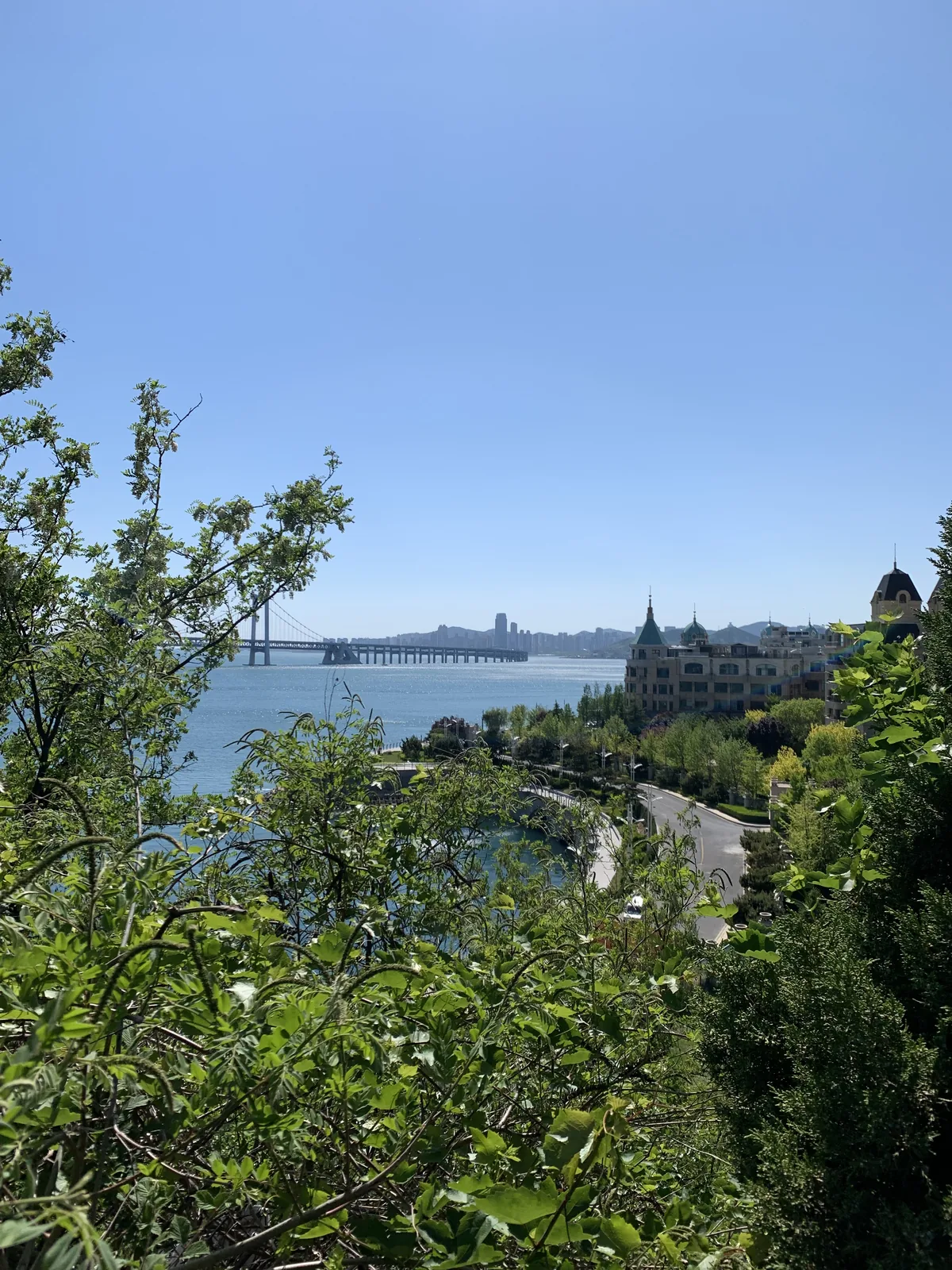 View through trees of Xinhai Bay Bridge and European-style buildings
