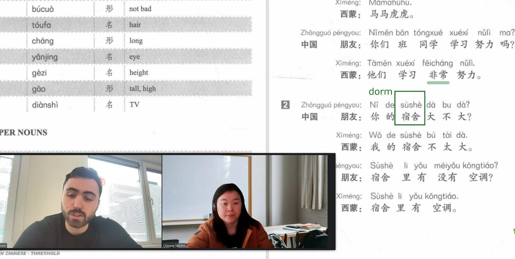 Online Mandarin lesson via Zoom with teacher and student